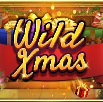 Wild Xmas