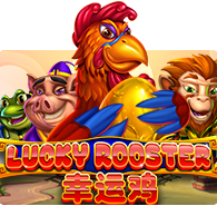 Lucky Rooster