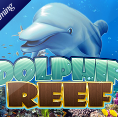 Dolphin Reef